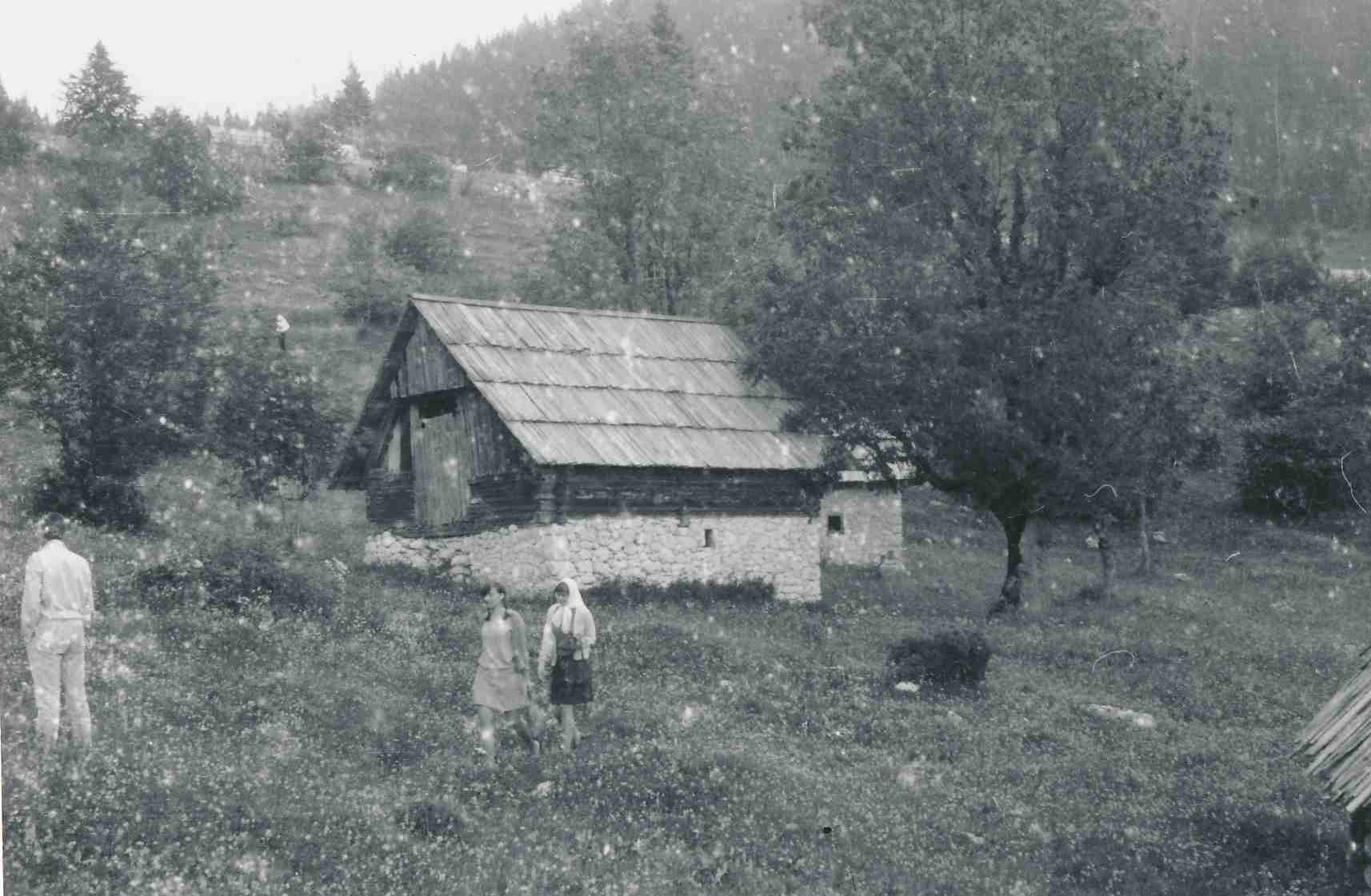 eika image